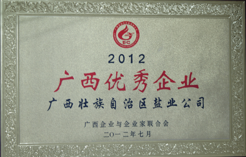 2012年度“廣西優(yōu)秀企業(yè)”榮譽牌匾